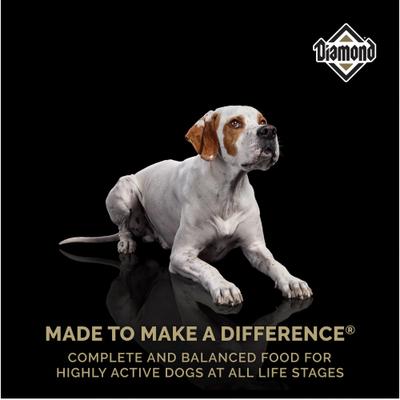 Show full view: Diamond Performance All Life Stages 30/20 for Highly Active, Hard Working & Athletic Dogs Dry Food, 80-lb bundle slide 6 of 9