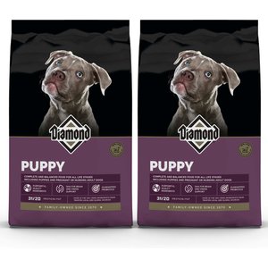 adult dog food medium royal canin stores Royal Canin main image 1