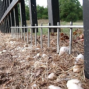 Dig Defence No-Dig Small/Medium Dog Barrier, 8-in, 10-pack