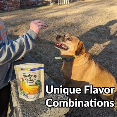 Show full view: Dig Defence Premium Blueberry & Banana Crunchy Dog Treats, 6-oz bag, case of 6 slide 6 of 7