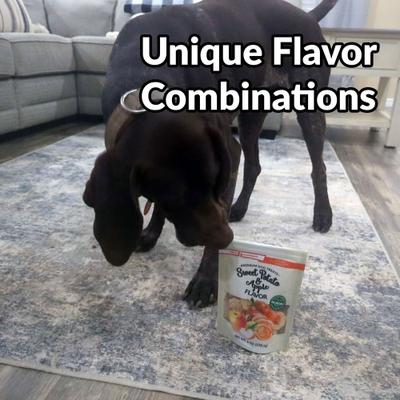 Show full view: Dig Defence Premium Sweet Potato & Apple Crunchy Dog Treats, 6-oz bag, case of 6 slide 6 of 7