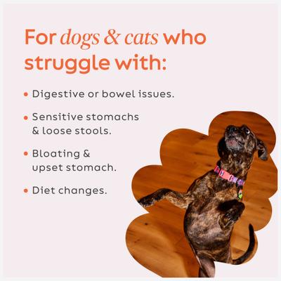 Show full view: Diggin' Your Dog Firm Up! Pumpkin Digestive Aid Powder Supplement for Dogs & Cats, 8-oz bag slide 5 of 11