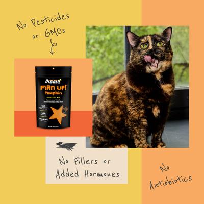 Show full view: Diggin' Your Dog Firm Up! Pumpkin Digestive Aid Powder Supplement for Dogs & Cats, 8-oz bag slide 9 of 11