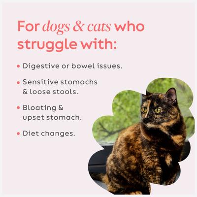 Show full view: Diggin' Your Dog Firm Up! Pumpkin Plus Cranberry Super Dog & Cat Supplement, 4-oz bag slide 5 of 11