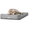Show in main carousel: Diggs Bolstr Crate Dog Bed with Removable Cover, Grey, Intermediate slide 4 of 4