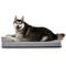 Show in main carousel: Diggs Bolstr Crate Dog Bed with Removable Cover, Grey, Large slide 4 of 4