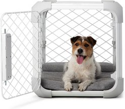 Diggs Evolv Double Door Convertible Dog Crate, Ash, 24 inch