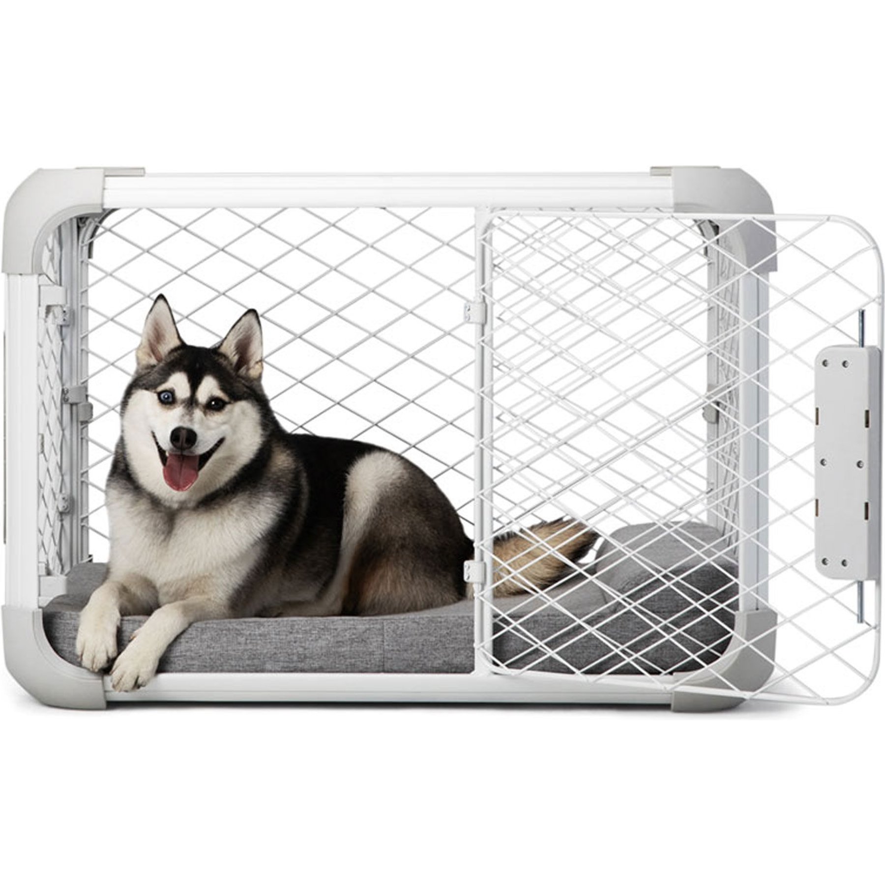 【新品・未使用】DOG in The PWO EVOL&EFIL 新品・未使用】DOG in The PWO EVOL&EFIL