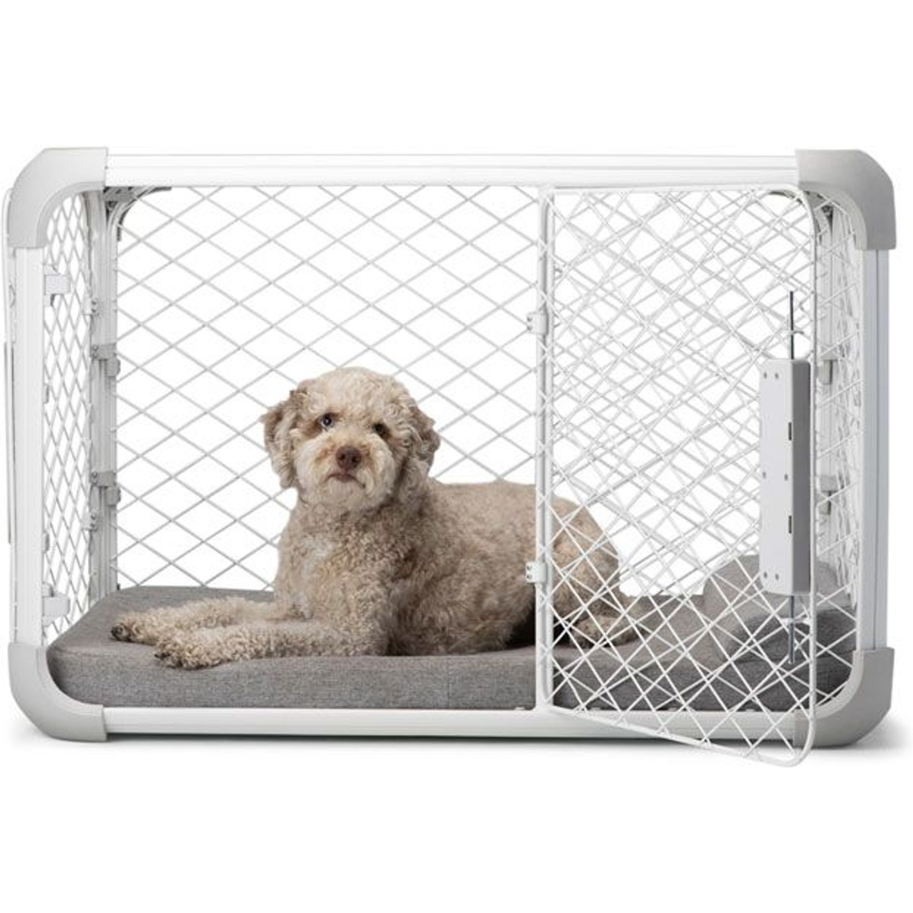 DIGGS Evolv Double Door Collapsible Wire Dog Crate, Ash, 36