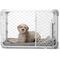 Show in main carousel: Diggs Evolv Double Door Convertible Dog Crate, Ash, 36 inch slide 1 of 6