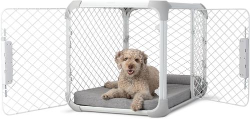 Show full view: Diggs Evolv Double Door Convertible Dog Crate, Ash, 36 inch slide 2 of 6
