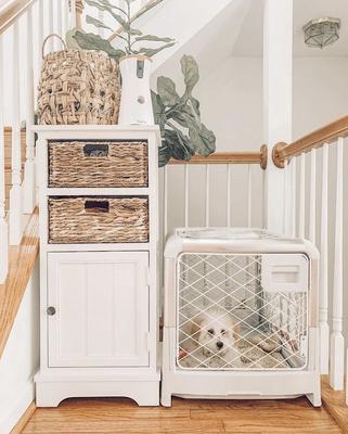 Show full view: Diggs Revol Collapsible Dog Crate, Ash, Medium slide 5 of 9