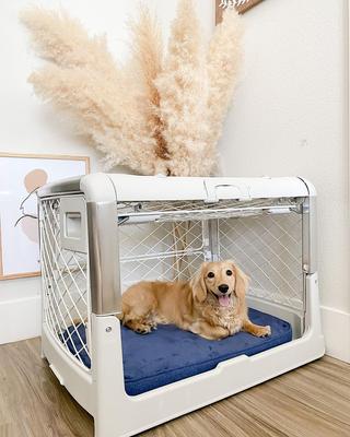 Show full view: Diggs Revol Collapsible Dog Crate, Ash, Medium slide 7 of 9