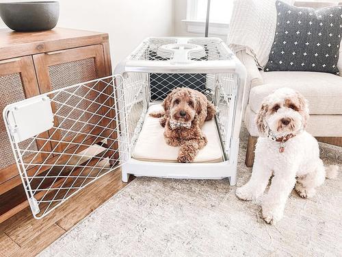 Show full view: Diggs Revol Collapsible Dog Crate, Ash, Small slide 6 of 9