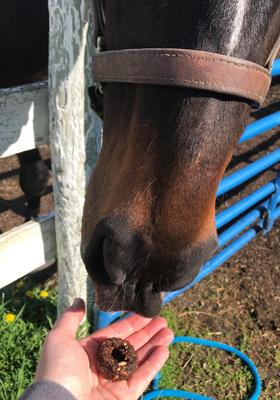 Show full view: Dimples Horse Treats Molasses Horse Treats, 3-lb slide 8 of 10