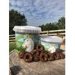 Show in main carousel: Dimples Horse Treats Molasses Horse Treats, 3-lb slide 4 of 10