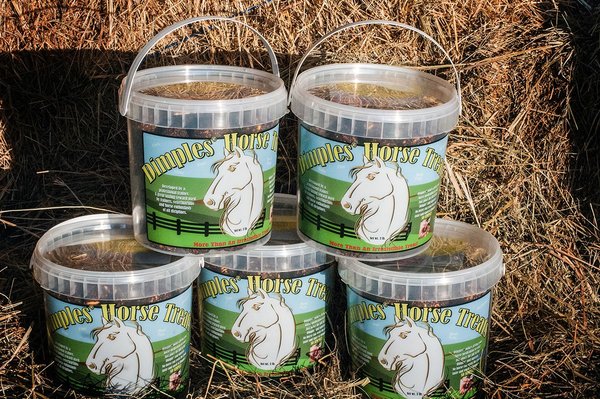 Show full view: Dimples Horse Treats Molasses Horse Treats, 3-lb slide 5 of 10