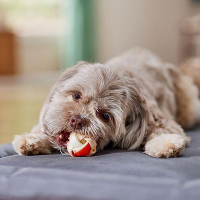 Show full view: Dingo Goof Balls Chicken Flavor Dog Treat, 18 count slide 6 of 9