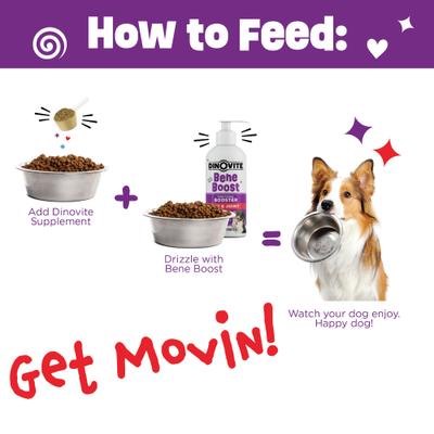 Show full view: Dinovite BeneBoost Hip & Joint Glucosamine Joint Mobility Liquid Supplement for Dogs, 16-fl oz bottle slide 5 of 8