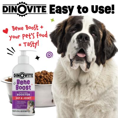 Show full view: Dinovite BeneBoost Hip & Joint Glucosamine Joint Mobility Liquid Supplement for Dogs, 16-fl oz bottle slide 7 of 8
