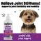 Show in main carousel: Dinovite BeneBoost Hip & Joint Glucosamine Joint Mobility Liquid Supplement for Dogs, 16-fl oz bottle slide 6 of 8