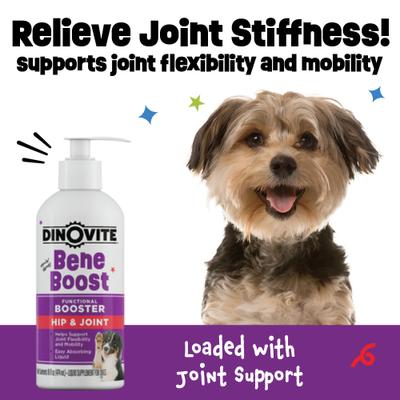 Show full view: Dinovite BeneBoost Hip & Joint Glucosamine Joint Mobility Liquid Supplement for Dogs, 16-fl oz bottle slide 6 of 8