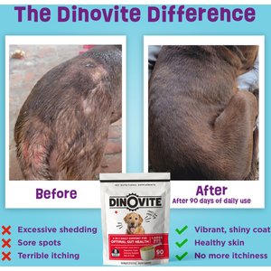 Dinovite Large Dog Supplement, 5.3-lb bag