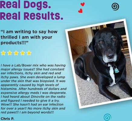 Show full view: Dinovite Dog Supplement for Medium Dogs, 3.5-lb bag slide 8 of 12