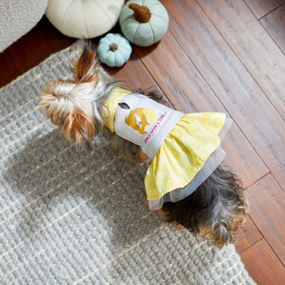 Disney Belle "Once Upon A Time" Dog & Cat Sweatshirt Dress