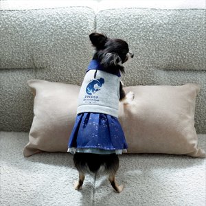 Disney Cinderella "Dreams Come True" Dog & Cat Sweatshirt Dress, Medium