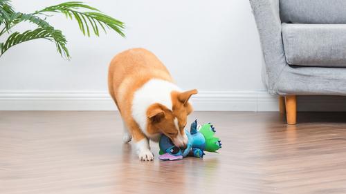 Show full view: Disney Classics Lilo & Stitch Stitch Squeaky Plush Dog Toy, 9-in slide 6 of 7