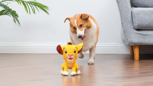 Show full view: Disney Classics Lion King Simba Squeaky Plush Dog Toy, 9-in slide 5 of 5