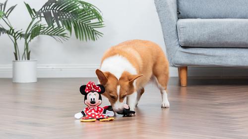 Show full view: Disney Classics Mickey & Friends Mickey Mouse & Minnie Mouse Squeaky Plush Dog Toys, 12-in, 2 count slide 5 of 5