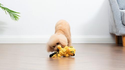 Show full view: Disney Classics The Lion King Simba Squeaky Plush Dog Toy, 9-in slide 5 of 5