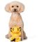 Show in main carousel: Disney Classics The Lion King Simba Squeaky Plush Dog Toy, 9-in slide 4 of 5