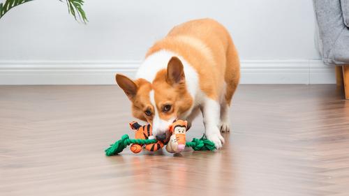 Show full view: Disney Classics Winnie The Pooh Tigger On Rope Branch Squeaky Plush Dog Toy, 12-in slide 5 of 6