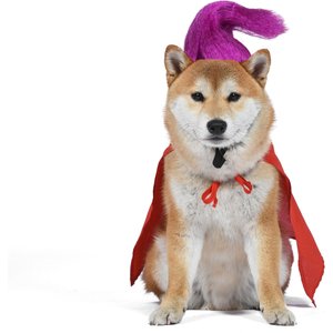 Disney Hocus Pocus Halloween Mary Sanderson Cape & Pet Wig Dog Costume with PVC Bag & Insert Card, Medium