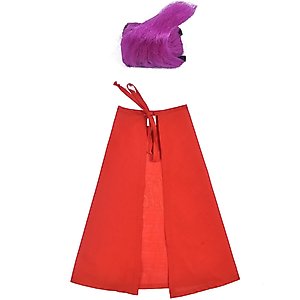 Disney Hocus Pocus Halloween Mary Sanderson Cape & Pet Wig Dog Costume with PVC Bag & Insert Card, Medium