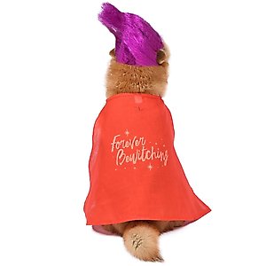 Disney Hocus Pocus Halloween Mary Sanderson Cape & Pet Wig Dog Costume with PVC Bag & Insert Card, Medium