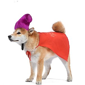 Disney Hocus Pocus Halloween Mary Sanderson Cape & Pet Wig Dog Costume with PVC Bag & Insert Card, Medium