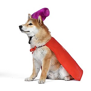 Disney Hocus Pocus Halloween Mary Sanderson Cape & Pet Wig Dog Costume with PVC Bag & Insert Card, Medium