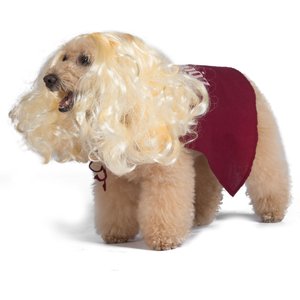 Disney Hocus Pocus Halloween Sarah Sanderson Cape & Pet Wig Dog Costume with PVC Bag & Insert Card, Large