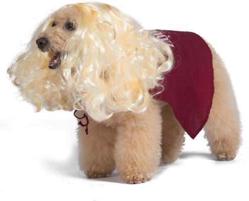 Show full view: Disney Hocus Pocus Halloween Sarah Sanderson Cape & Pet Wig Dog Costume with PVC Bag & Insert Card, Large slide 4 of 7