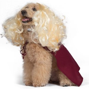 Disney Hocus Pocus Halloween Sarah Sanderson Cape & Pet Wig Dog Costume with PVC Bag & Insert Card, Large