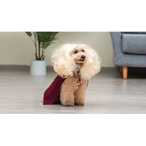 Disney Hocus Pocus Halloween Sarah Sanderson Cape & Pet Wig Dog Costume with PVC Bag & Insert Card, Large