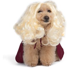 Disney Hocus Pocus Halloween Sarah Sanderson Cape & Pet Wig Dog Costume with PVC Bag & Insert Card, Medium