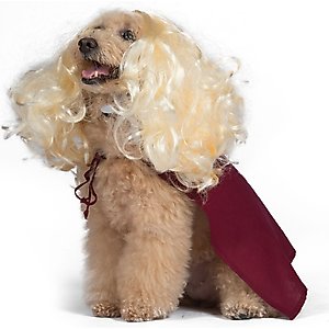 Disney Hocus Pocus Halloween Sarah Sanderson Cape & Pet Wig Dog Costume with PVC Bag & Insert Card, Medium