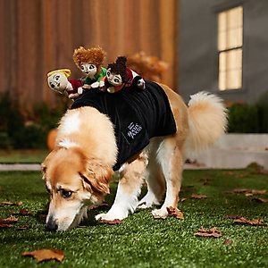 Disney Hocus Pocus Ride-On Sanderson Sisters Dog & Cat Costume, Medium