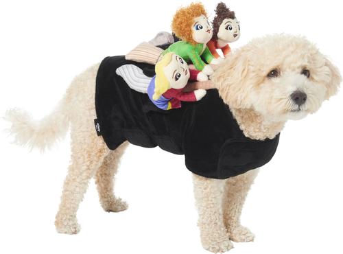 DISNEY Hocus Pocus Ride-On Sanderson Sisters Dog Cat Costume