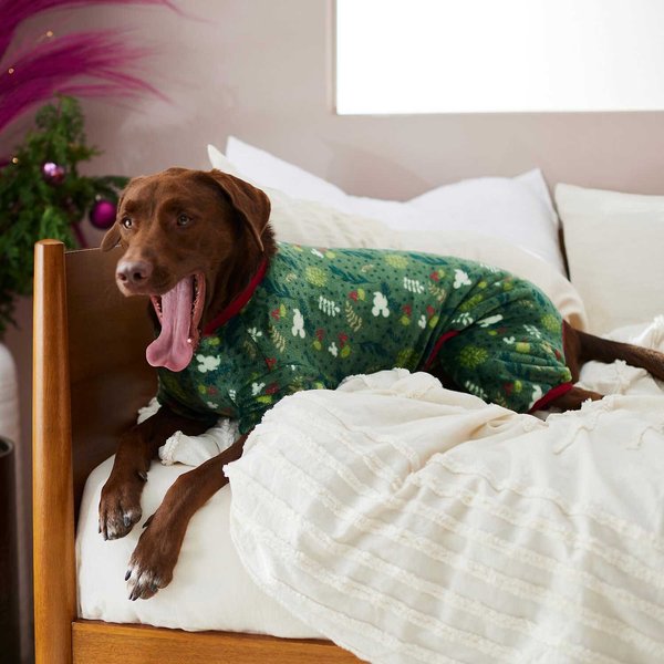 Disney Mickey Mouse Holly Christmass Dog & Cat PJ